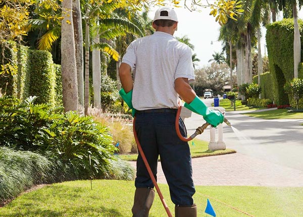 About Pleasant Garden NC Pest Control